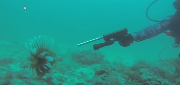 Underwater lionfish hunting with a Glock Handgun