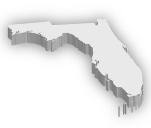 the state of Florida in outline
