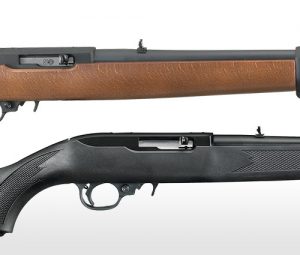Ways to customize a Ruger-1022