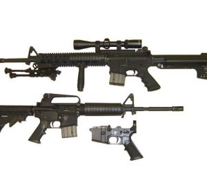 Remington Arms Wants Sandy Hook Shooting Lawsuit Struck Down By Judge